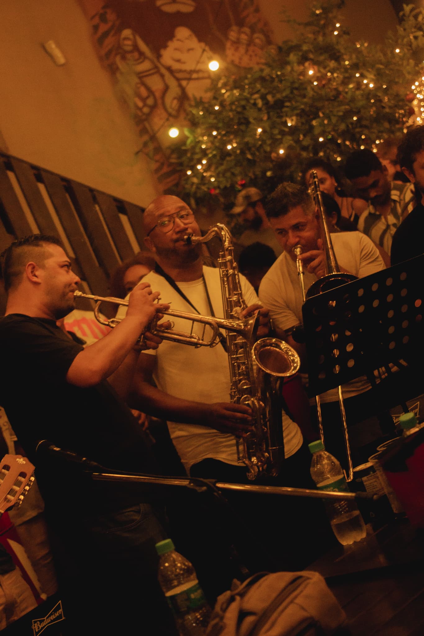 Musica ao vivo